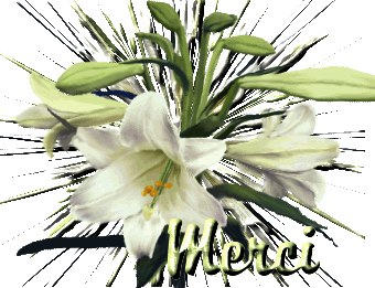 L'image �http://nanou44.n.a.pic.centerblog.net/ozlla13e.gif� ne peut �tre affich�e car elle contient des erreurs.